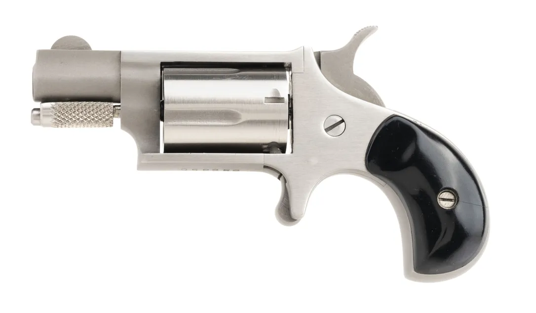 NAA Mini 22lr (PR56407)