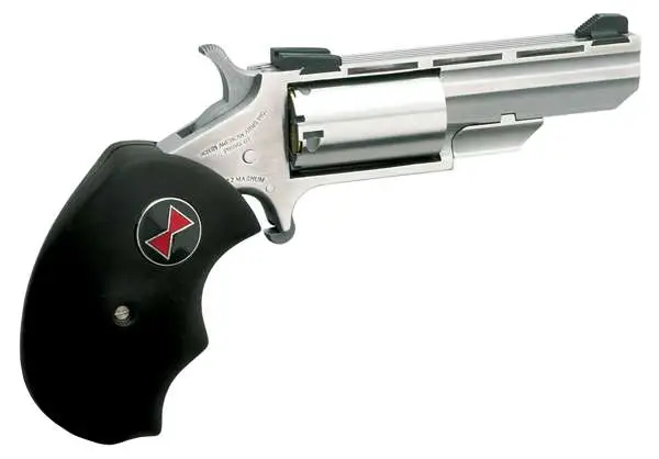 North American Arms Black Widow .22 LR / .22 Mag 2" 5rd Revolver, Stainless - NAA-BWC